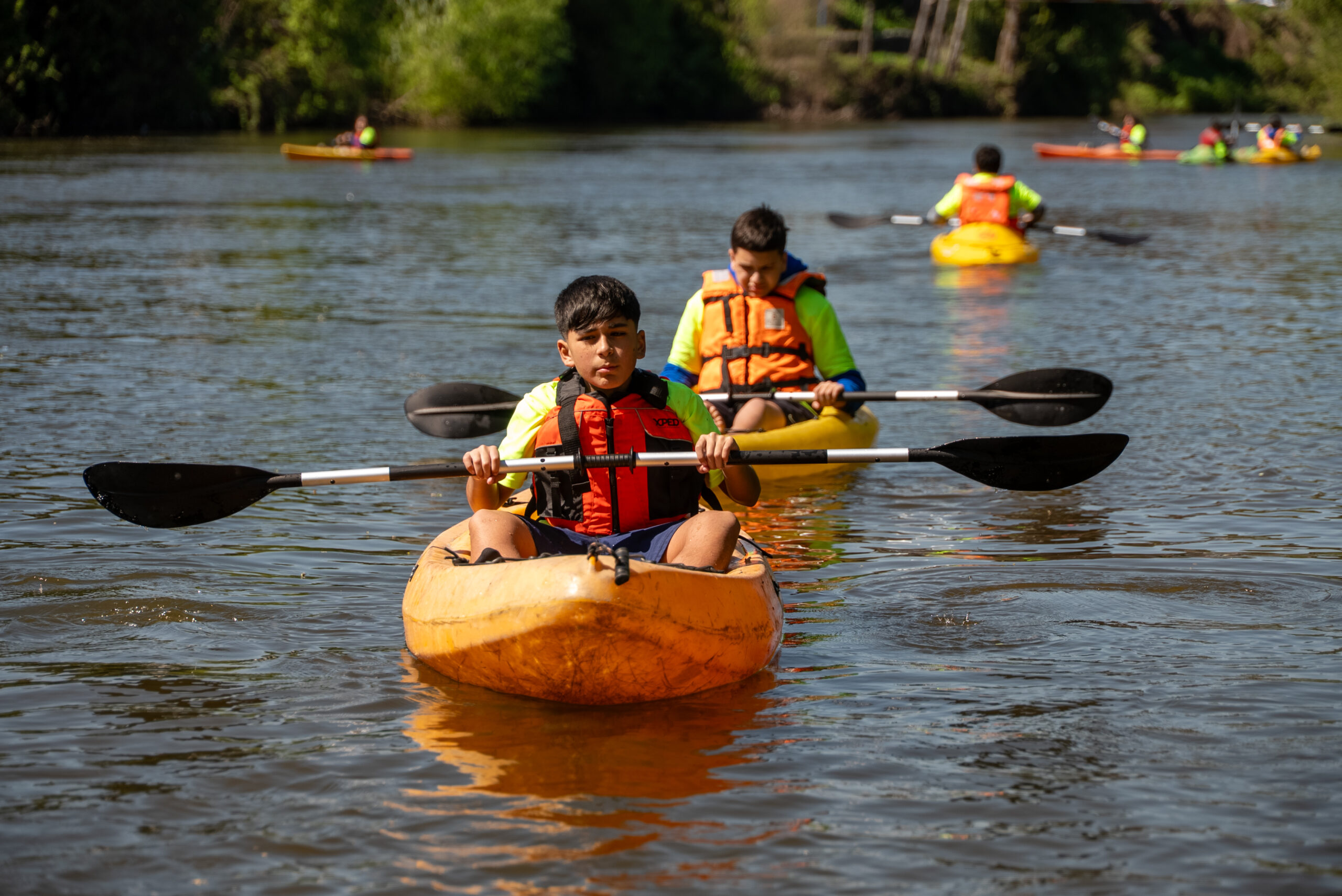 Aguas que enseñan: El río Collilelfu como sala de clases